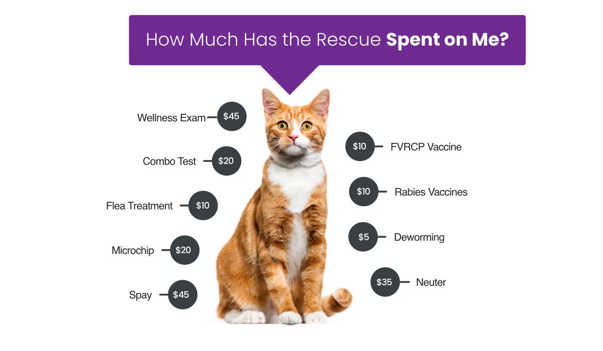 Adoption Fees Hearts & Tails of Hope Pet Rescue